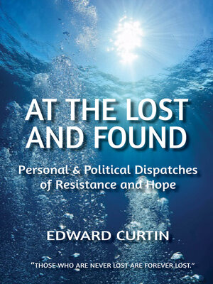 cover image of At the Lost and Found